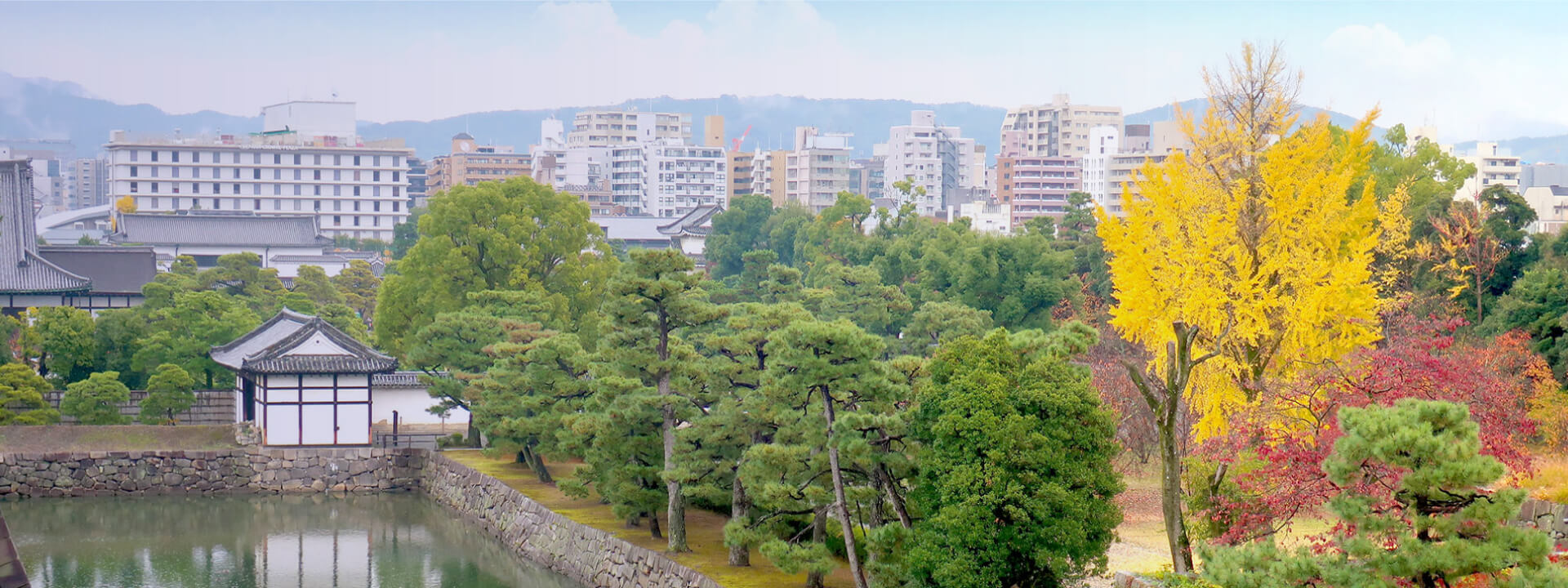 設立趣旨の背景画像