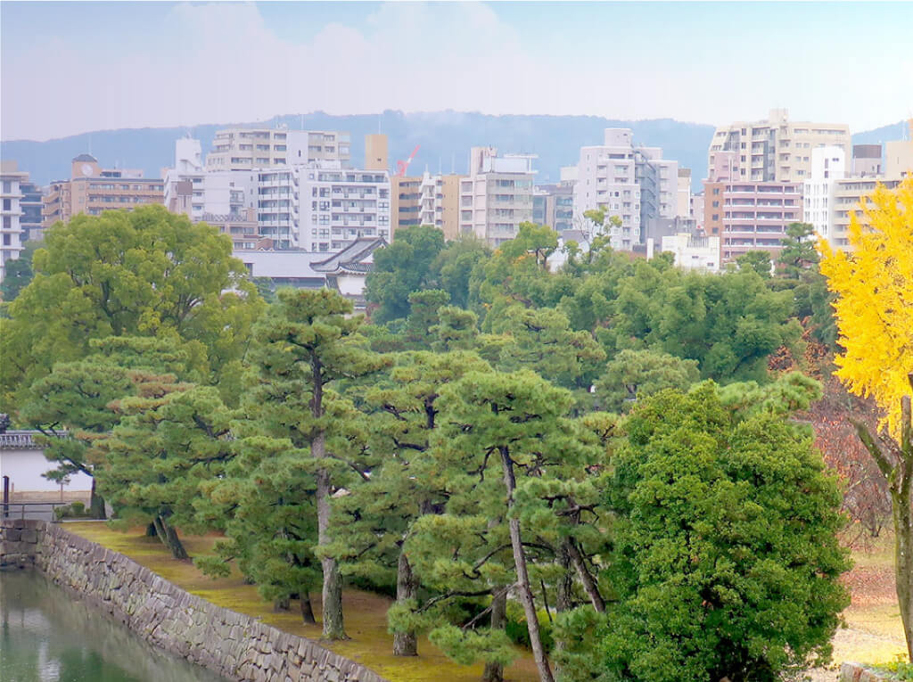 設立趣旨の背景画像